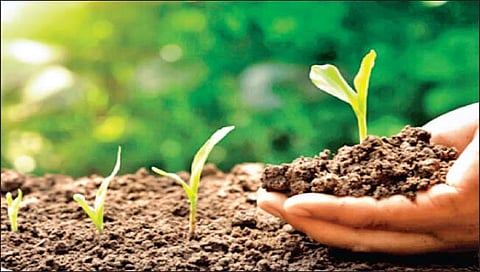 खत व्यवस्थापन : काळाबरोबर बदलायला हवं!