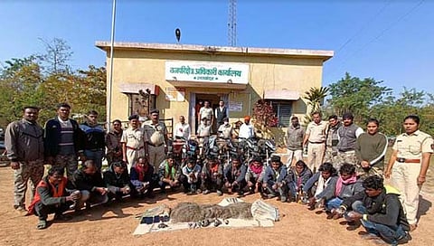 जंगली पक्ष्यांच्या शिका-यांना पोलीसांकडून अटक