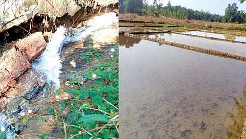 तिलारी कालव्याला पुन्हा भगदाड; शेतीचे नुकसान