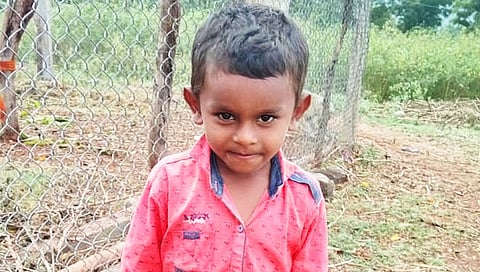 धारूर : सोनिमोहात अज्ञात हिंस्त्र प्राण्याच्या हल्ल्यात बालकाचा मृत्यू