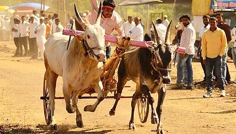 संग्रहित फोटो