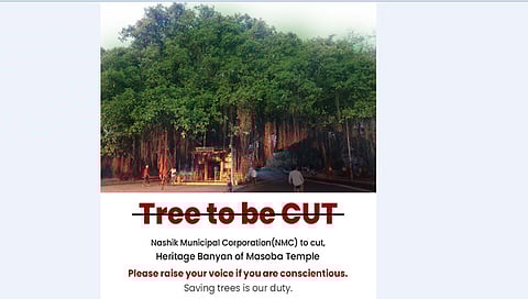 नाशिक मनपा आयुक्तांसह १४ जणांविरोधात हायकोर्टात अवमान याचिका दाखल