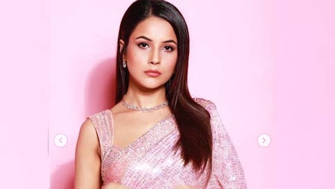 BIGG BOSS 15 : सिध्दार्थच्या आठवणींने शहनाज गहिवरली (video)