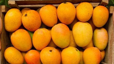 संग्रहित छायाचित्र