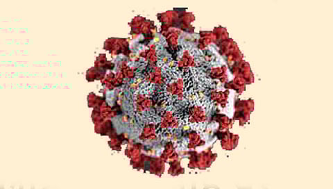 Delhi Corona : दिल्लीत लवकरच लागणार पूर्ण संचारबंदी?; संक्रमण दर पाच टक्क्यांच्या समीप