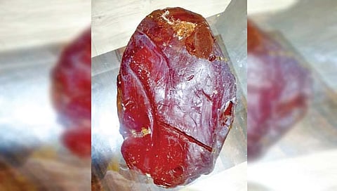 कोल्हापूर : व्हेल माशाची उलटी; मोठ्या रॅकेटची शक्यता