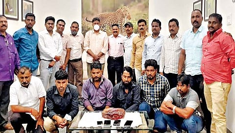 कोल्हापुरात ३.२५ कोटींची व्हेल माशाची उलटी जप्त, मोठे रॅकेट उघड