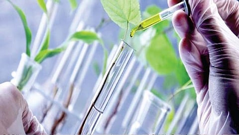 बियाणे : गरज संशोधनाची