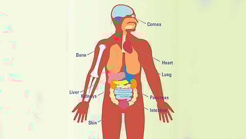 अवयव दान : …अवयवरूपी उरावे!