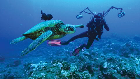 ओशियनोग्राफी : चाकोरीबाहेरची वाट धरू इच्छिणार्यांसाठी नक्कीच फायदेशीर