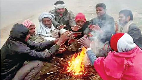 पुणे : कडाक्याच्या थंडीने अवघे राज्य गारठले