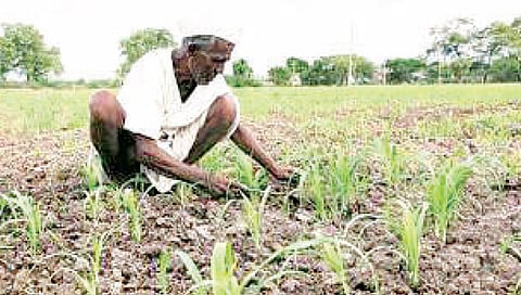 महात्मा फुले : प्रोत्साहन अनुदान मिळणार कधी?