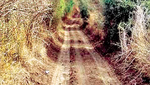 मातोश्री ग्रामसमृद्धी शेत/पाणंद रस्ते योजनेतून 24 रस्ते होणार