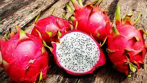 Dragon fruit : ड्रॅगन फ्रूटमध्ये सापडला कोरोना विषाणू; सुपरमार्केट्स केली बंद