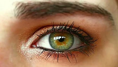डोळ्यांकडे पाहून मृत्यूची भविष्यवाणी करता येणार, संशोधकांचा दावा, ब्रिटिश जर्नलमध्ये माहिती प्रसिद्ध