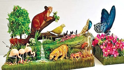 दिल्लीत सातार्याचा गौरव; प्रजासत्ताकदिन परेडमधील चित्ररथावर कास पठार