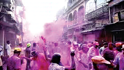 आरक्षणाशिवायही नाशिक जिल्ह्यात २३ ओबीसी नगरसेवक; सहा नगरपंचायतींच्या निवडणूक निकालातील वास्तव