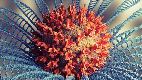 संग्रहीत