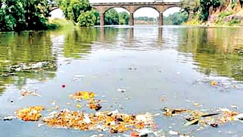 पंचगंगा नदीला प्रदूषणाची मगरमिठी