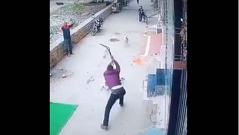 Viral Video : किती हा क्रूरपणा! पाळीव मादी कुत्र्याला भेटत होता भटका कुत्रा, मालकानं ठार मारलं!