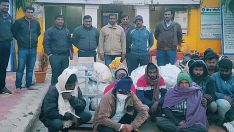 बीड : पंकज कुमावत यांची धाडसी कार्यवाही; चंदन तस्करी करणार्यांवर छापा