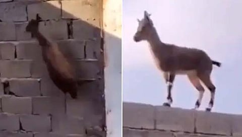 ‘प्रगती करायची, अशी जिद्द असेल तर तुम्हाला कोणीच रोखू शकत नाही’