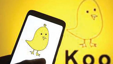 Koo laysoffs | Twitter चा प्रतिस्पर्धी Koo कडून नोकरकपात, ३० टक्के कर्मचाऱ्यांना दिला नारळ