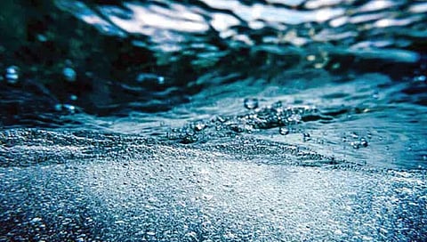 प्रकाशाविना सागरी जीव तयार करतो ऑक्सिजन