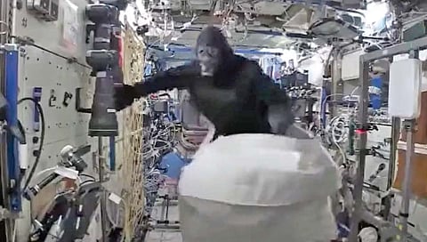 space : जेव्हा अंतराळ स्थानकावर घुसला होता ‘गोरिला’!