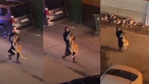 राजा असलास म्हणून काय झालं ? महिलेनं चिडलेला सिंह मांजरासारखा मिठीत धरून नेला ! (video)