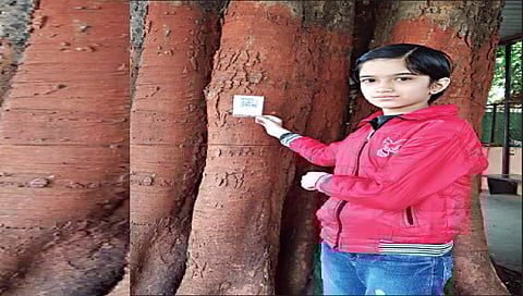 नाशिक : दहा वर्षीय आदिश्रीने झाडांना केले बोलके, एका क्लिकवर कळणार झाडांची नावे