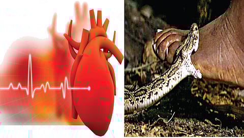 धक्कादायक ! तीन वर्षांत राज्यातील साडेतीनशे आदिवासी विद्यार्थ्यांचा मृत्यू ; काय आहेत कारणे?