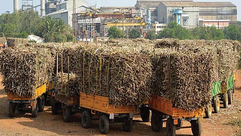 पुणे जिल्ह्यात यंदा 53 लाख टनांनी अधिक ऊस गाळपाचा अंदाज