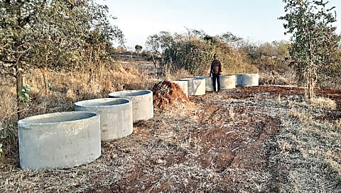 नाशिक वनराईमध्ये फुलणार बहुगुणी कमळांची बाग ; ‘आपलं पर्यावरण’ चा उपक्रम