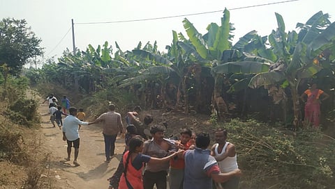 जळगाव : चार लाखांची केळीची खोडे कापली : चिनावल शिवारातील शेतकरी संतप्त