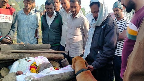 कोल्हापूर : मुका जीव देखील गलबलला सरणावरच्या धन्याला पाहून.!