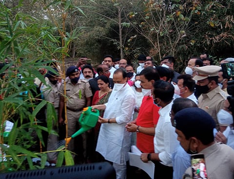 तळजाई टेकडी (पुणे)