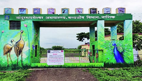 पर्यटन महोत्सवाची मांदियाळी ; नाशिक-नांदूरमध्यमेश्वर बर्ड सायक्लोथॉनचे आयोजन