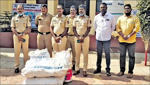 पंढरपुरात 8 लाखांचे चंदन जप्त