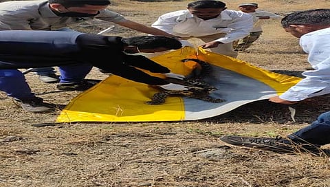 पुणे : जुन्नर तालुक्यातील खामुंडी गाव झाले बिबट्याचे माहेरघर