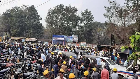 बिबट्या चंद्रपूर