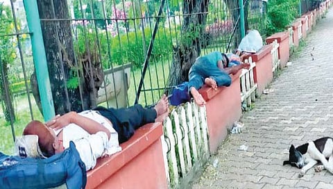 गोवा : भिकार्यांचे करायचे काय?; नागरिक त्रस्त