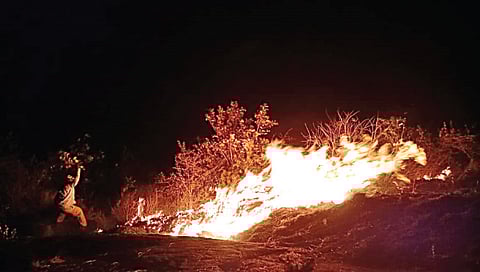 रामशेज किल्ल्यावर भडकलेला वणवा