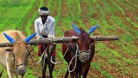 पुणे : कर्ज परतफेड करणार्या शेतकर्यांना प्रोत्साहनपर लाभ