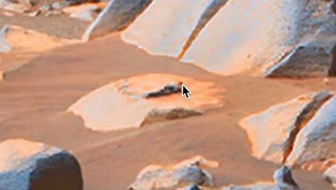 मंगळावर दिसला एलियन? छायाचित्र आले समोर