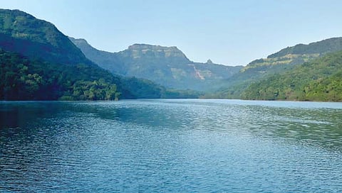 वासोटा पर्यटन आजपासून बहरणार; कोरोना नियमांसह लसींचे डोस प्रमाणपत्र सक्तीचे