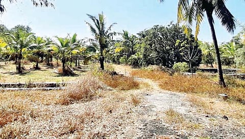 मुरुड कोर्लई गावात रश्मी ठाकरेंचे बंगलेच नाहीत