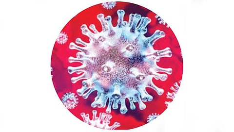 कोरोनासंबंधी निर्बंध आणखी शिथिल करा