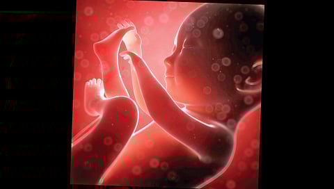 आता बनणार कृत्रिम गर्भाशय, रोबो होणार दाई!