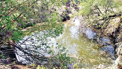 शर्यतीची बैलगाडी याच विहिरीत पडून दोन बैलांचा मृत्यू झाला.